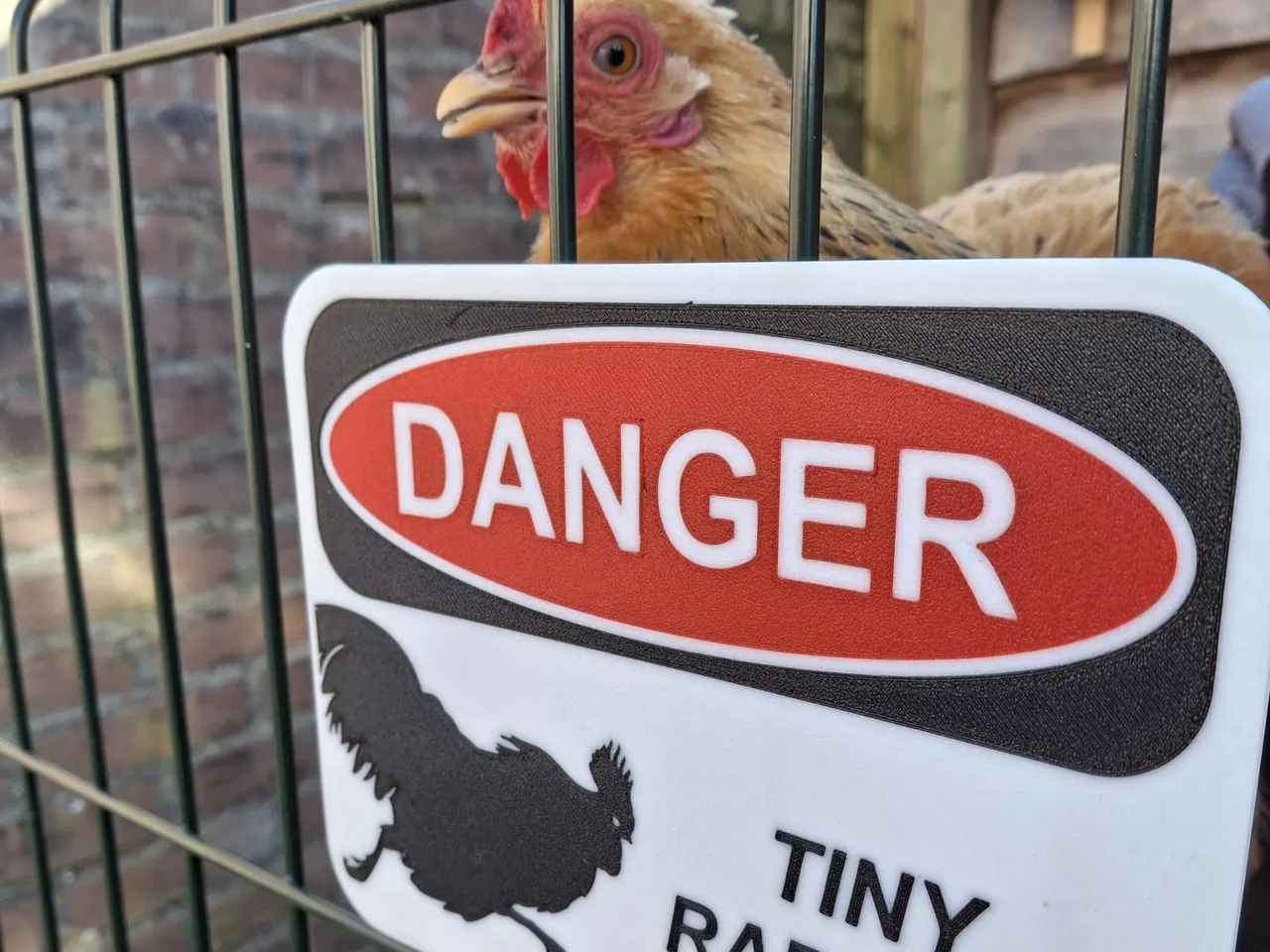 Chicken Danger Sign view 2