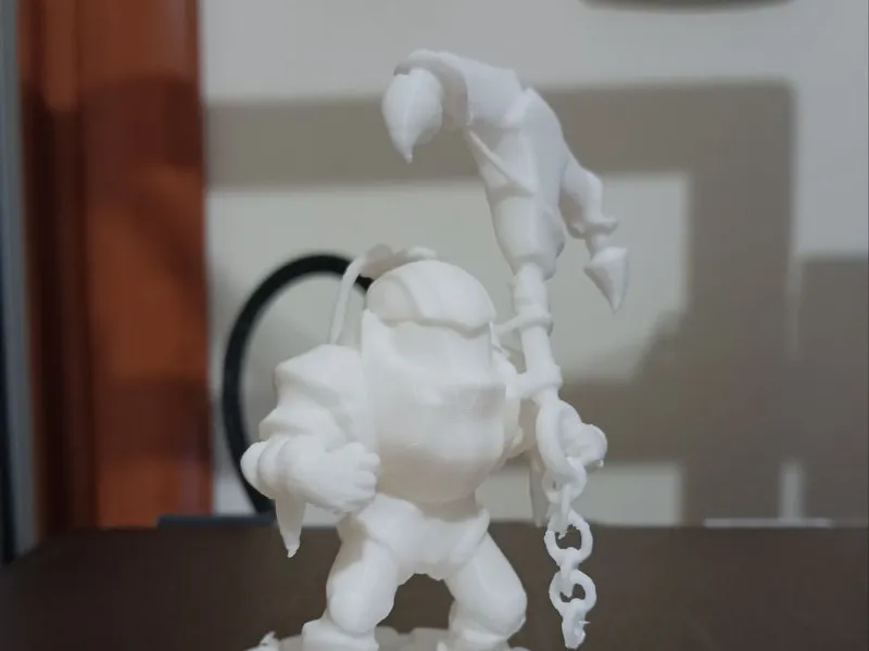 Nautilus