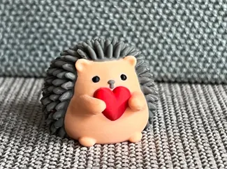 Hedgehog with a Heart – gentle protection