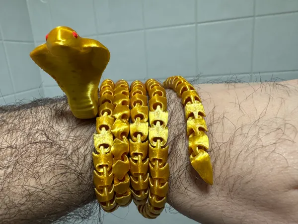 https://makerworld.bblmw.com/makerworld/model/USf1b6c46b0f215c/design/2025-01-04_0be991243767d.jpg