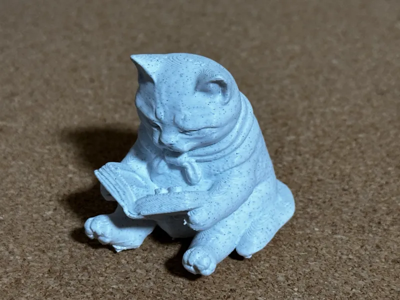 Reading Cat with "Love You" or custom message