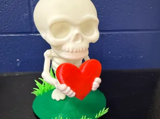 Heart Skeleton with Base