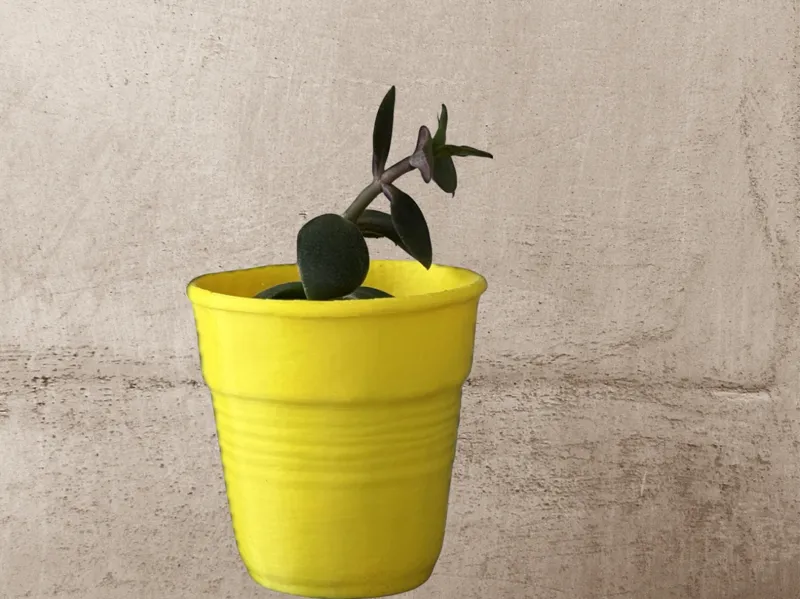 Piccolo vaso