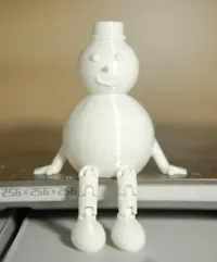 0.2mm Layer Height, 2 Layers of Wall, 8% Infill