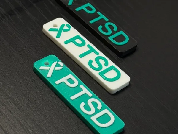 https://makerworld.bblmw.com/makerworld/model/USf1c3fff029b64e/design/2026-01-18_f5e5ea57cc682.jpg