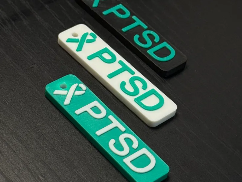 PTSD/KPTSD Awareness Keychain