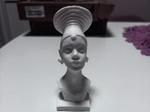 https://makerworld.bblmw.com/makerworld/model/USf1c75901f3ffb4/design/2025-01-02_3efedede2cea5.jpg