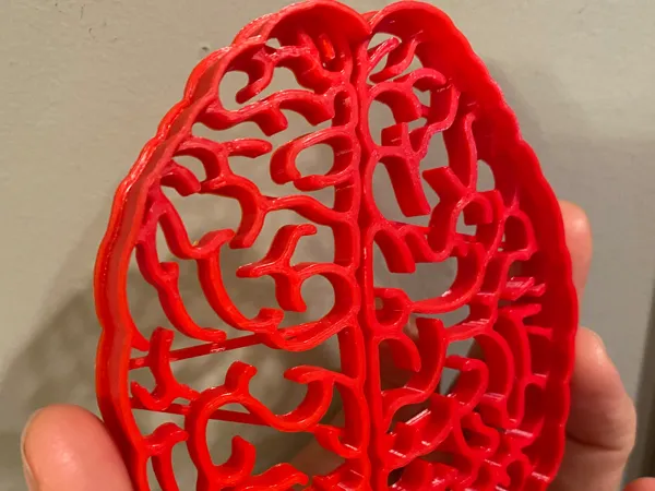 https://makerworld.bblmw.com/makerworld/model/USf1c76657c422b8/design/2025-03-12_9736df6e5dd1d.jpg