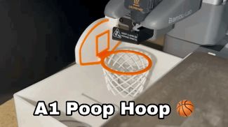 A1 Poop Hoop