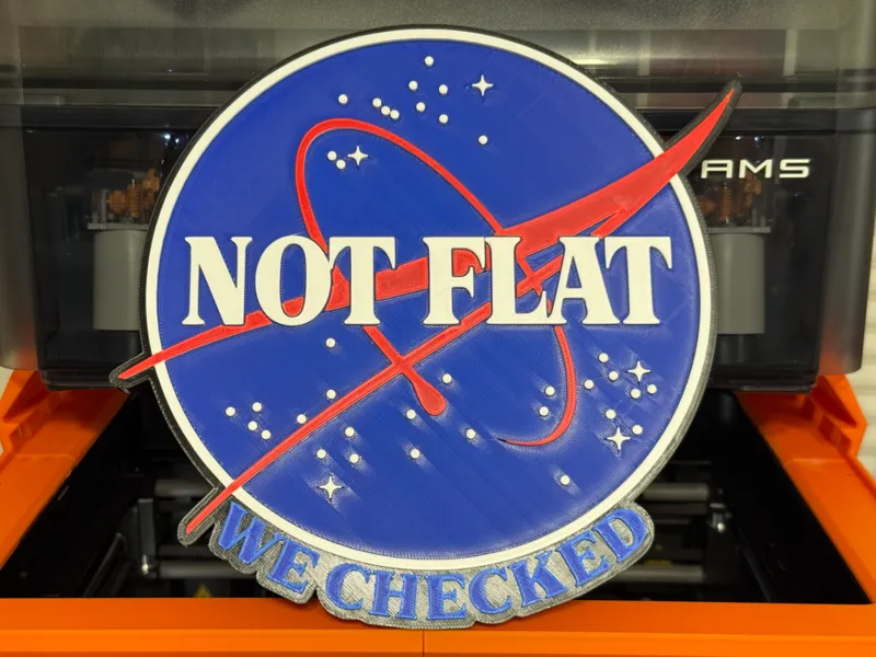 NASA Meatball - Wall Art Medallion "Not Flat" 
