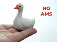 no ams