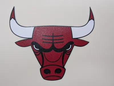 chicago bulls team logo