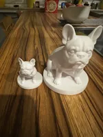 Bouledogue — photo 2