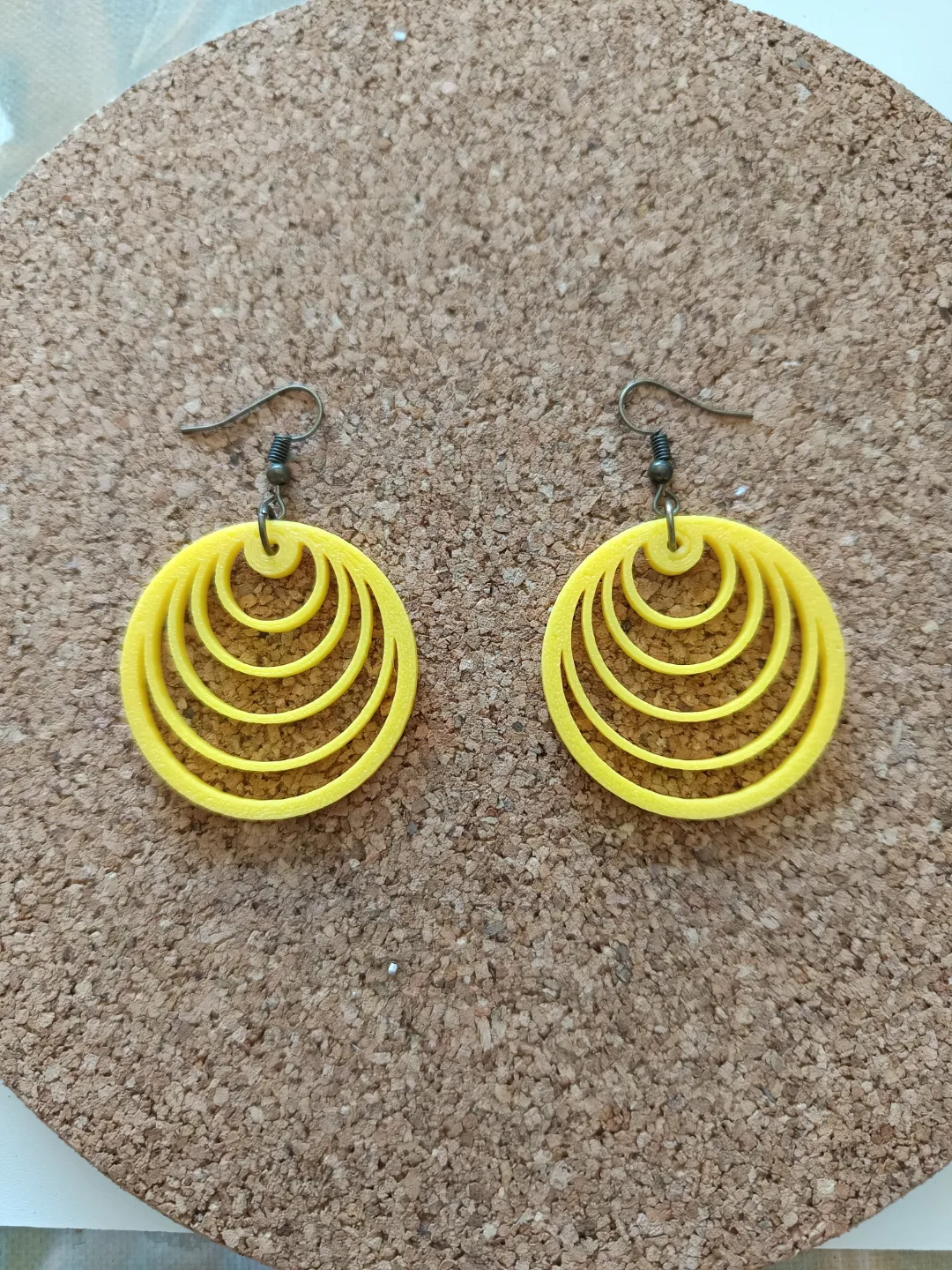 Circle Earrings view 2
