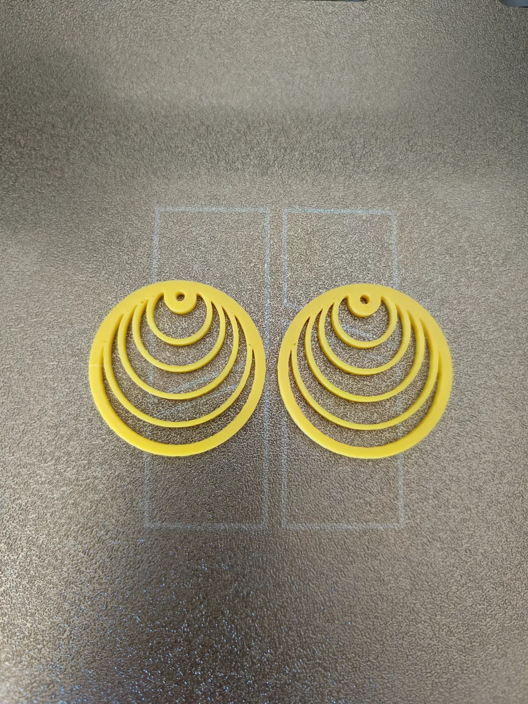 Circle Earrings view 3