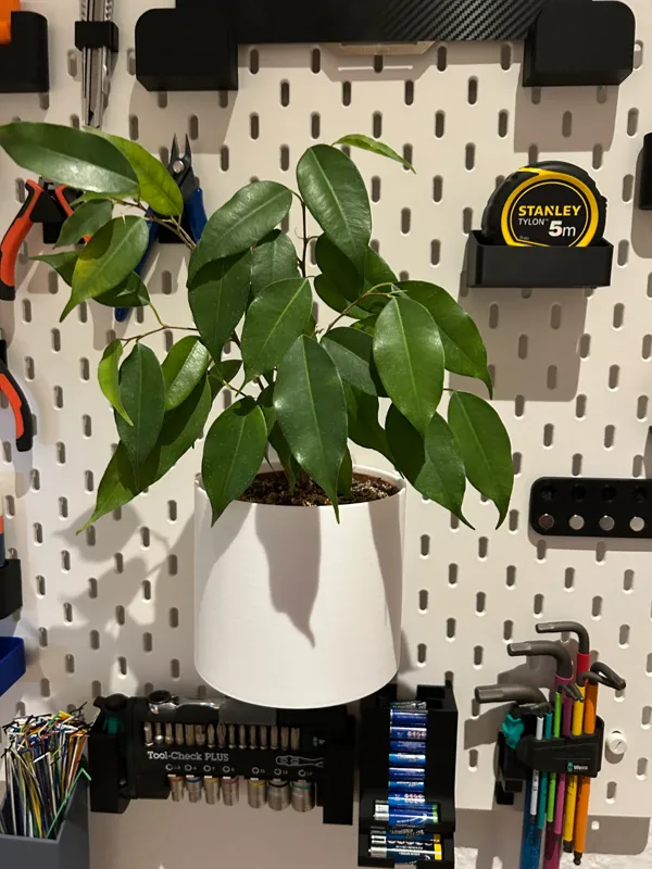 https://makerworld.bblmw.com/makerworld/model/USf1dd7bcdc4e290/design/2024-04-11_4014cfde6167c.jpg