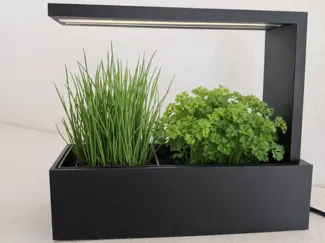 Indoor Mini Greenhouse with LED Grow Lights