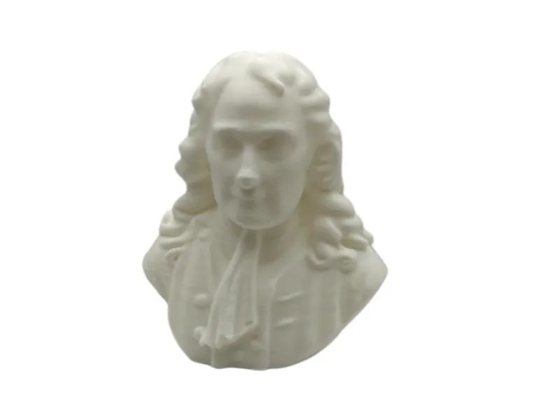 Isaac Newton Bust - 3 sizes 