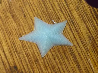 Blue Star