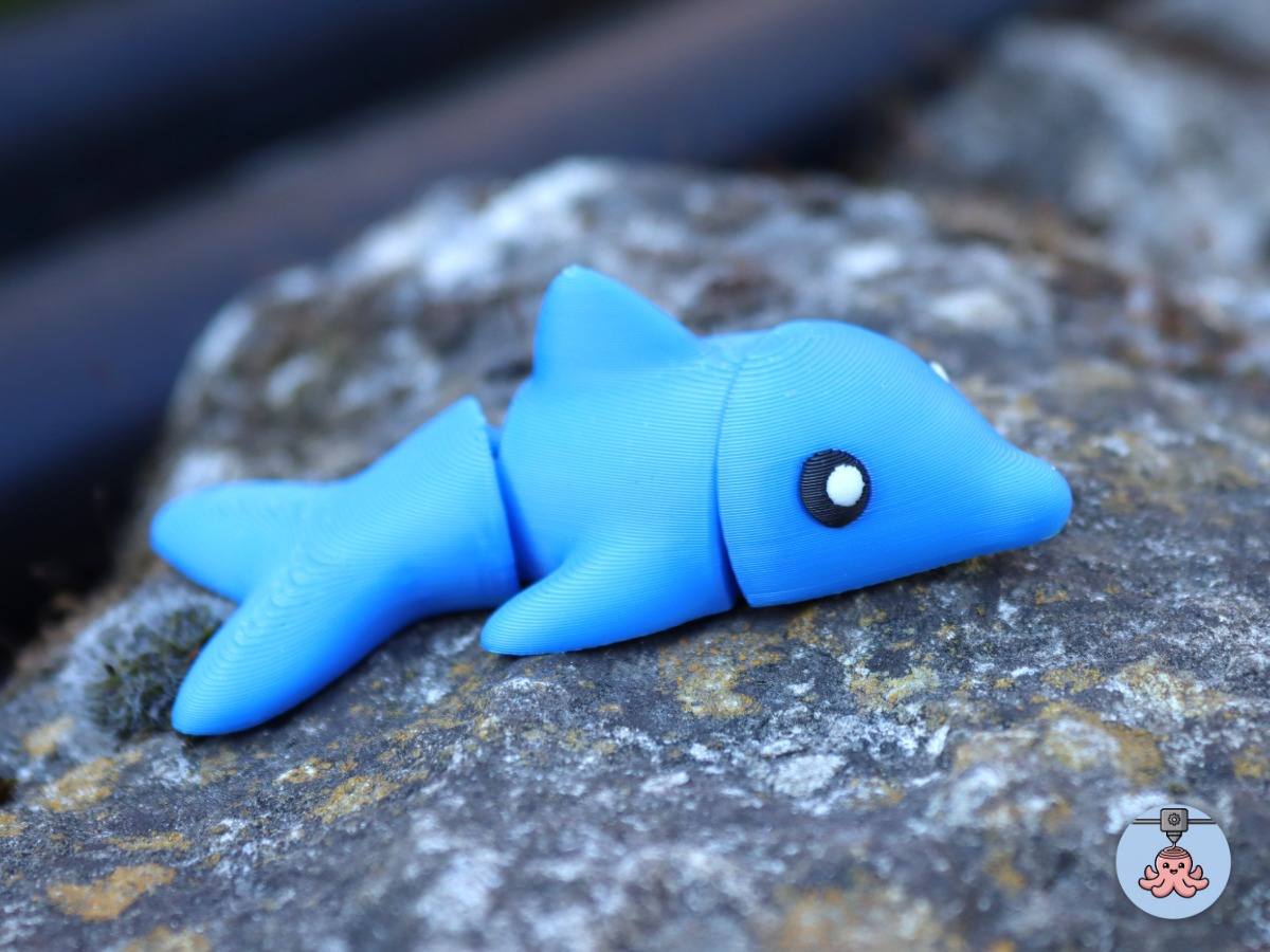 Cute mini baby dolphin