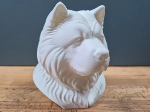 https://makerworld.bblmw.com/makerworld/model/USf1ec21bbe96462/design/2025-05-14_3517a2f0785dc8.jpg