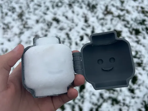 https://makerworld.bblmw.com/makerworld/model/USf1ecf2b990e31a/design/2025-12-08_2870a8a39a1ea.webp