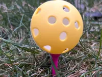 0.2mmlayer,2 walls,15% infill 10 tees but delete to get less