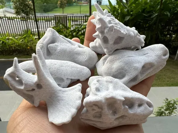 https://makerworld.bblmw.com/makerworld/model/USf1eef5595ad55a/design/2025-02-24_4a2c0cd264062.jpg