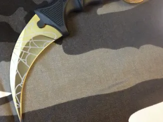 Training Karambit