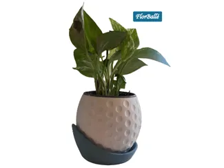 FlorBallé – Modern Golf Ball Inspired Planter