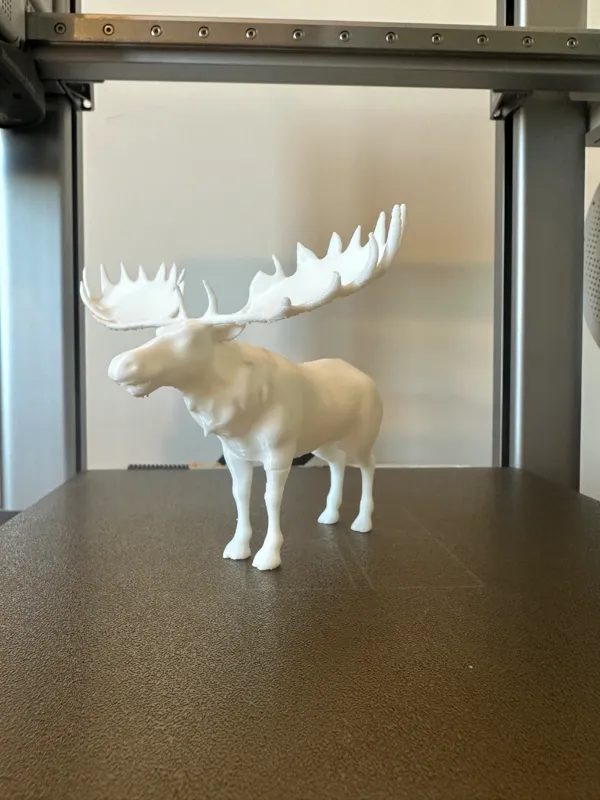 https://makerworld.bblmw.com/makerworld/model/USf1f914039a4838/design/2024-11-20_f02e82bebfa16.jpeg