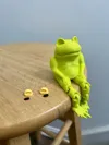 Funny Sitting Frog Split