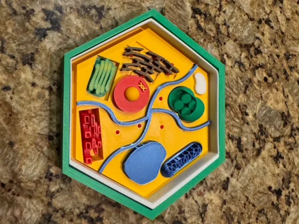 https://makerworld.bblmw.com/makerworld/model/USf1fde2a2bfb496/design/2025-10-10_16aa6402e8ed5.jpg