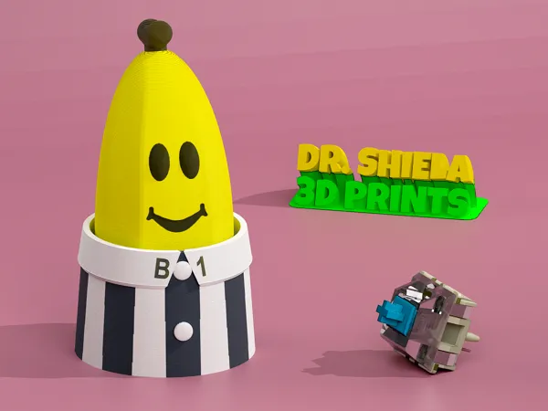 https://makerworld.bblmw.com/makerworld/model/USf201c8b37a731b/design/de7d49e57258822b.png