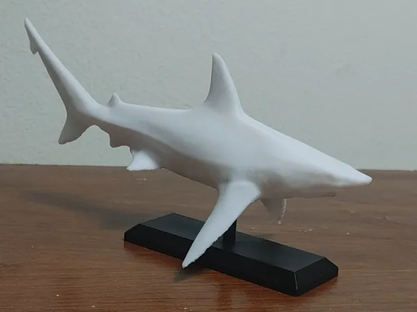 https://makerworld.bblmw.com/makerworld/model/USf20c0a3297f87e/design/2025-01-31_a9482ea330099.jpg