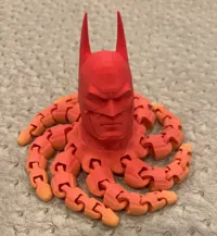 Batmantapus (poulpe Batman) — photo 1