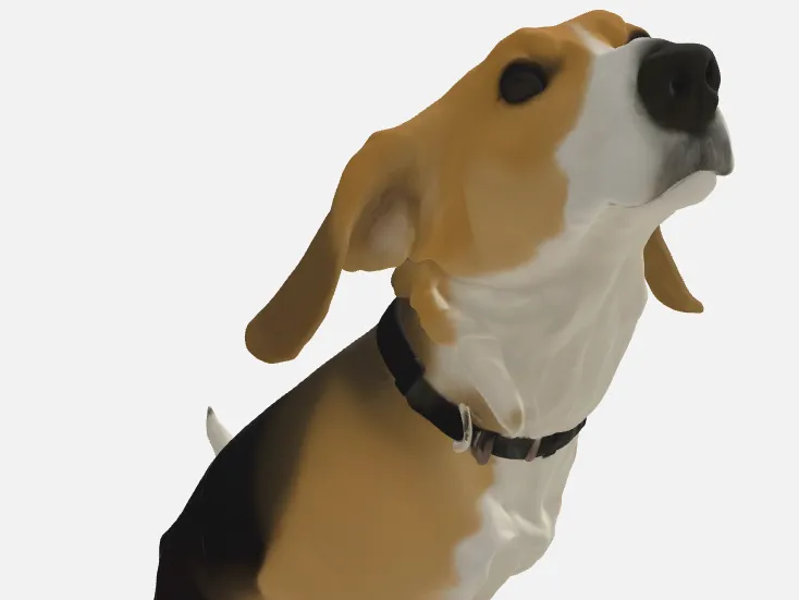 beagle