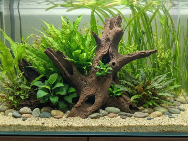 https://makerworld.bblmw.com/makerworld/model/USf20f0e26808df7/design/2025-12-18_adaf0ceed418.png