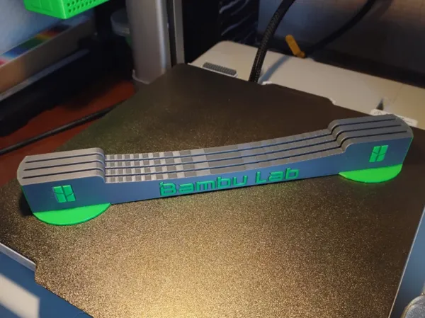 https://makerworld.bblmw.com/makerworld/model/USf2107ac46d345/design/2024-06-02_903d007815de3.jpg