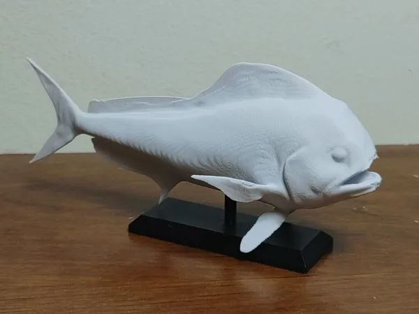 https://makerworld.bblmw.com/makerworld/model/USf2122f00969be8/design/2024-12-22_c2cb1fa7f4b01.jpg