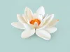Water Lily Two Colours - 0.2mm layer, 2 walls, 15% infill 