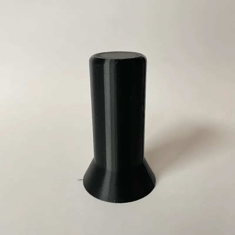 Rook