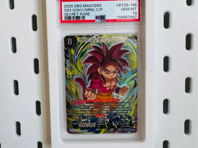 SKADIS PSA Slab Halterung