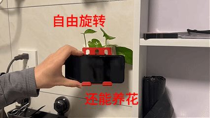 浴室厨房卫生间/壁挂小花盆手机平板支架