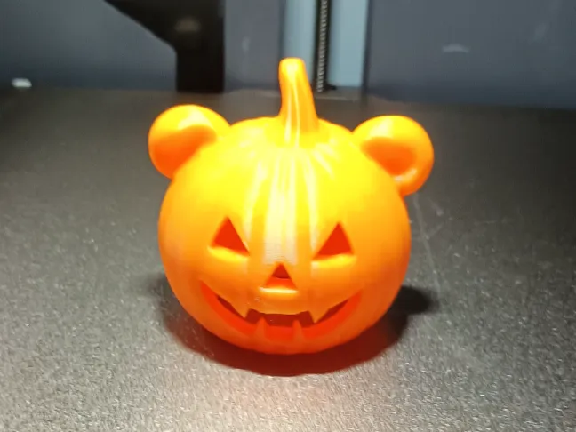 Teddykürbis
