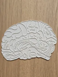 Panneau éducatif du cerveau à colorier — photo 2