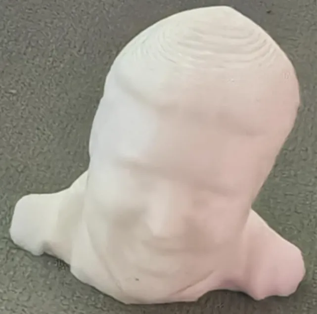 PETER KAY BUST