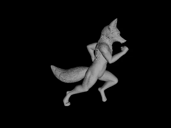 Running FOX