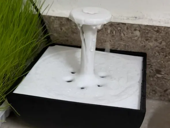 Fontaine à eau pour chat