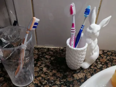 Bunny flower / toothbrush pot